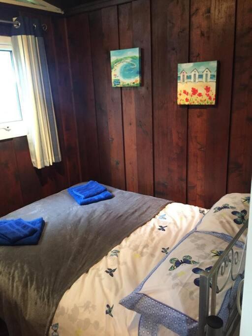 فيلا No 27 A Dog Friendly Rural Coastal Chalet سيتون المظهر الخارجي الصورة
